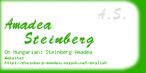 amadea steinberg business card